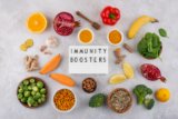 Immune System Guide